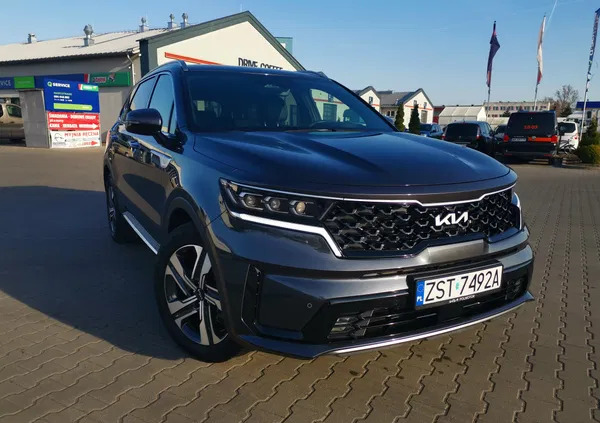 kia sorento Kia Sorento cena 220000 przebieg: 6000, rok produkcji 2023 z Krasnobród